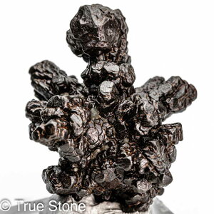 vtFV[Xg[ \ \̐ 29g Tn ґz OEfBO AXeCh f