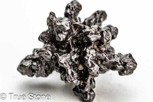 vtFV[Xg[ \ \̐ 30g Tn ґz OEfBO AXeCh f