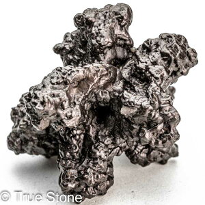 vtFV[Xg[ \ \̐ 116g Tn ґz OEfBO AXeCh f