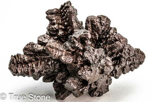 vtFV[Xg[ \ \̐ 106g Tn ґz OEfBO AXeCh f