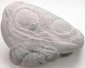 フェアリーストーン 妖精の石 Fairy stone 203g カナダ ケベック州 ビスケットの川