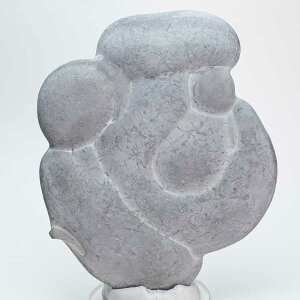 �t�F�A���[�X�g�[�� �d���̐� Fairy stone �J�i�_ �P�x�b�N�B �r�X�P�b�g�̐� ���j���C�g