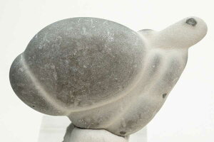 tFA[Xg[ d̐ Fairy stone Ji_ PxbNB rXPbg̐ jCg