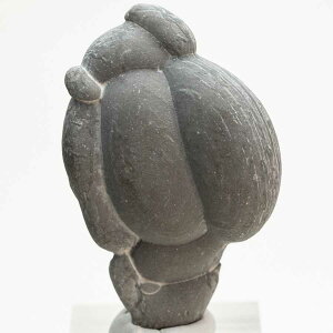 �t�F�A���[�X�g�[�� �d���̐� Fairy stone �J�i�_ �P�x�b�N�B �r�X�P�b�g�̐� ���j���C�g