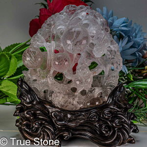 VR `   o  ܕ̎ `NH[c ؐt VR  p[X|bg