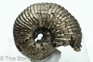  pCCgAiCg VA TgtB 9.8g pCCg AiCg D 