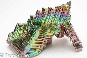 rX}X lH d 139g fL Bi qԍ 83 Vւ̊Ki F̊Ki Fv 