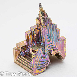 rX}X lH d 41g fL Bi qԍ 83 Vւ̊Ki F̊Ki Fv 