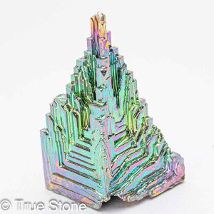 rX}X lH d 44g fL Bi qԍ 83 Vւ̊Ki F̊Ki Fv 