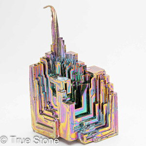 rX}X lH d 68g fL Bi qԍ 83 Vւ̊Ki F̊Ki Fv 