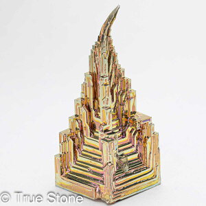 rX}X lH d 40g fL Bi qԍ 83 Vւ̊Ki F̊Ki Fv 