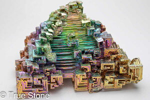 AAA ^ rX}X lH d 594g fL Bi qԍ 83 Vւ̊Ki F̊Ki Fv 