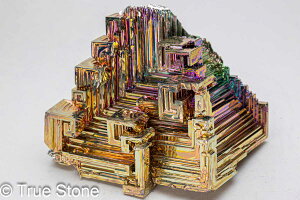 rX}X lH d 257g fL Bi qԍ 83 Vւ̊Ki F̊Ki Fv 