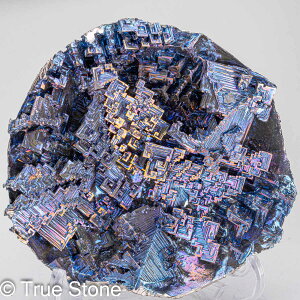 rX}X lH d 552g fL Bi qԍ 83 Vւ̊Ki F̊Ki Fv 