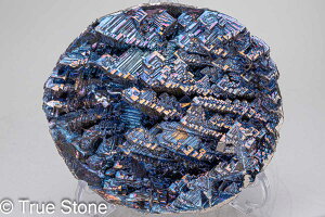 rX}X lH d 594g fL Bi qԍ 83 Vւ̊Ki F̊Ki Fv 