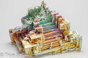 s~bh rX}X lH d 546g fL Bi qԍ 83 Vւ̊Ki F̊Ki Fv 