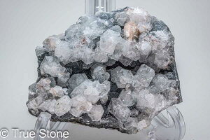 NA A|tBCg NX^[  763g Vg̐ tBbVEACEXg[ p[Xg[ VR 