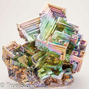   rX}X lH d 1788g fL Bi qԍ 83 Vւ̊Ki F̊Ki Fv 