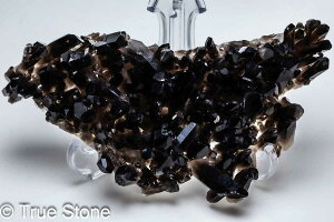 AJ A[J\[BY  I NX^[ ubNNX^ PAS[ ubNNH[c VR  