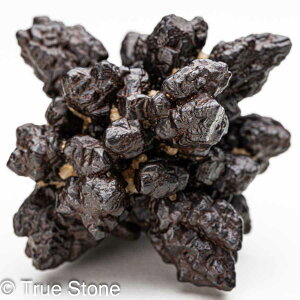 vtFV[Xg[ \ \̐ 42.6g Tn ґz OEfBO AXeCh f