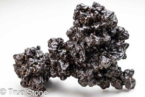 vtFV[Xg[ \ \̐ 158g Tn ґz OEfBO AXeCh f