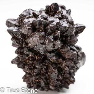 vtFV[Xg[ \ \̐ 78g Tn ґz OEfBO AXeCh f