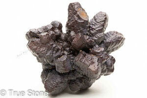 vtFV[Xg[ \ \̐ 89g Tn ґz OEfBO AXeCh f