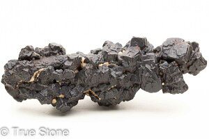 vtFV[Xg[ \ \̐ 75g Tn ґz OEfBO AXeCh f