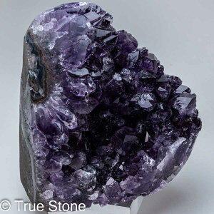 EOAC AeBKXY AWXg NX^[ 982g  AVXg p[Xg[   WI[h h[