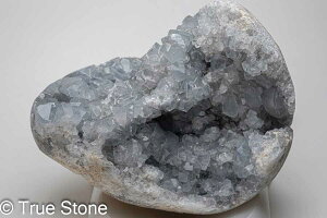 ZX^Cg V VE  835g Vg WI[h  h[ p[Xg[ VR