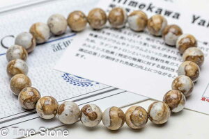 Ynؖt V Y P uXbg Ֆڐ ː WE ՗ z~VX