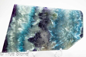 GWFtFU[t[Cg XCX Vg̉H tFU[Ct[Cg t[Cg oCJ[t[Cg VR 