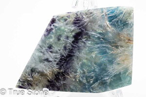 GWFtFU[t[Cg XCX Vg̉H tFU[Ct[Cg t[Cg oCJ[t[Cg VR 