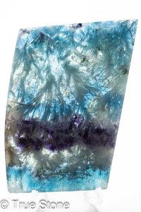 GWFtFU[t[Cg XCX Vg̉H tFU[Ct[Cg t[Cg oCJ[t[Cg VR 