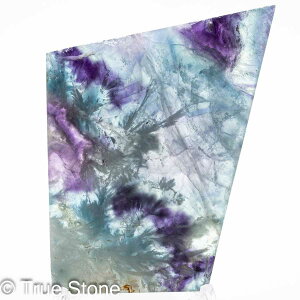 GWFtFU[t[Cg XCX Vg̉H tFU[Ct[Cg t[Cg oCJ[t[Cg VR 