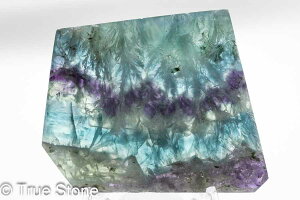 GWFtFU[t[Cg XCX Vg̉H tFU[Ct[Cg t[Cg oCJ[t[Cg VR 