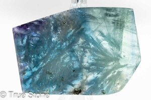 GWFtFU[t[Cg XCX Vg̉H tFU[Ct[Cg t[Cg oCJ[t[Cg VR 