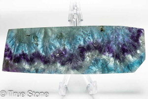 GWFtFU[t[Cg XCX Vg̉H tFU[Ct[Cg t[Cg oCJ[t[Cg VR 