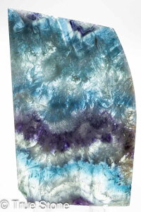 GWFtFU[t[Cg XCX Vg̉H tFU[Ct[Cg t[Cg oCJ[t[Cg VR 