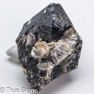 VR  I |Cg ubNNX^ ubNNH[c NX^[ VR   p[Xg[