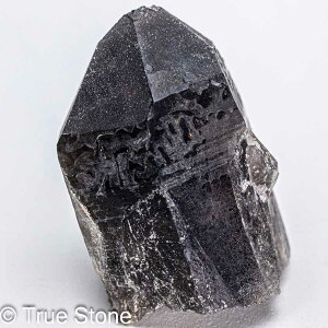 VR  I |Cg ubNNX^ ubNNH[c NX^[ VR   p[Xg[