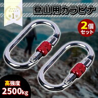 登山用 カラビナ 2個セット 25KN クライミングカラビナ ハードスチール スクリューロック レスキュー 登…