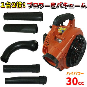12 GWu[ oL[ rC 30cc t|@ GWuA[ @ W@
