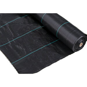 hV[g 2m × 100m 100[g  G Ռ V[g }bg |G` Ő EB[hK[h h~ }  ubN s ʘH |  K[fjO  쑐  ₳Ȃ O 