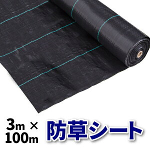 hV[g 3m × 100m 100[g  G Ռ V[g }bg |G` Ő EB[hK[h h~ }  ubN s ʘH |  K[fjO  쑐  ₳Ȃ O 