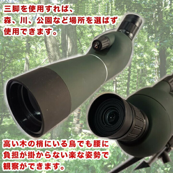 楽天市場】フィールドスコープ 望遠鏡 単眼鏡 三脚 ケース 付き 倍率 
