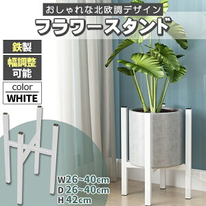 t[X^h ACA ԑ  O  x_ X  u |bg X^h K[fbN