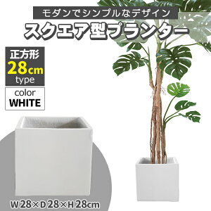 v^[ ^ 30×30cm XNGA ` zCg [^ v^[{bNX Aؔ AJo[ v^[Jo[ Jo[