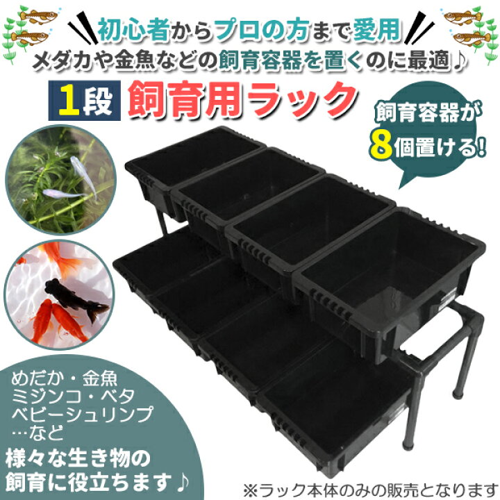 楽天市場】メダカ飼育黒ラック 1段8個置き めだか飼育棚 めだか飼育棚 