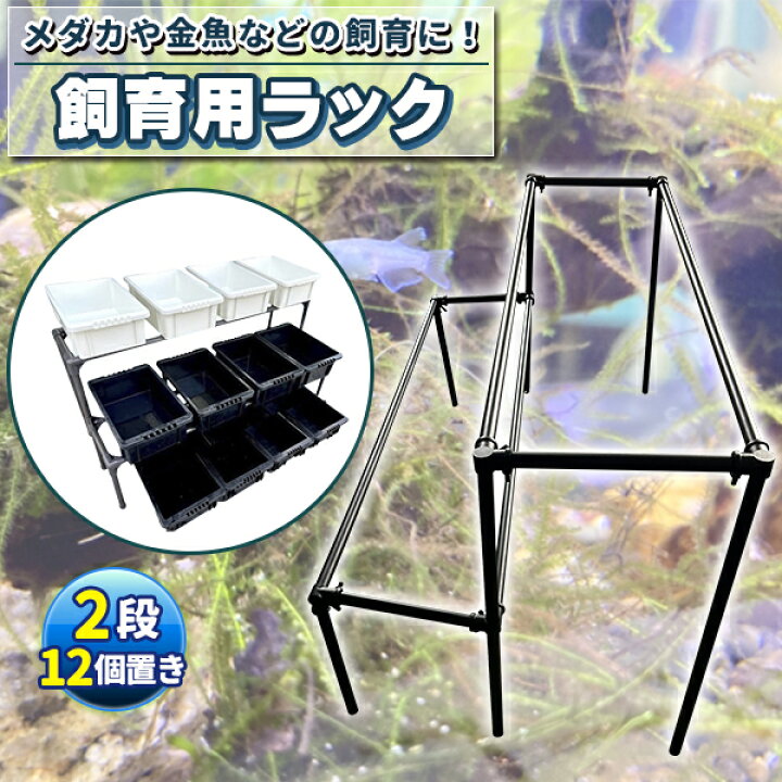 楽天市場】メダカ飼育黒ラック 2段12個置き めだか飼育棚 めだか飼育棚 